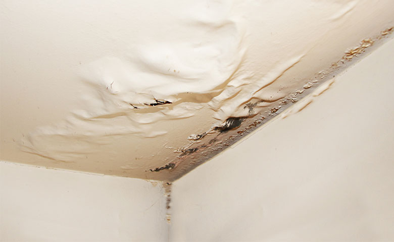 signs of flat roof damage inside your building