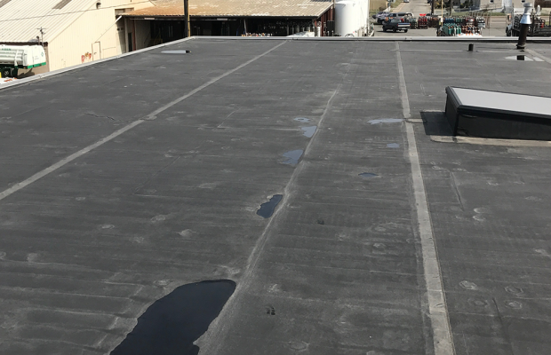 What Does a Flat Roof Inspection Include?