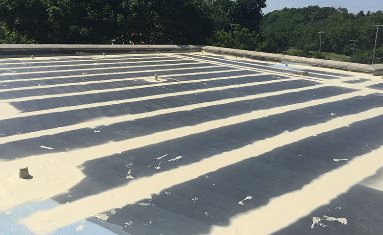 epdm roof leak repair